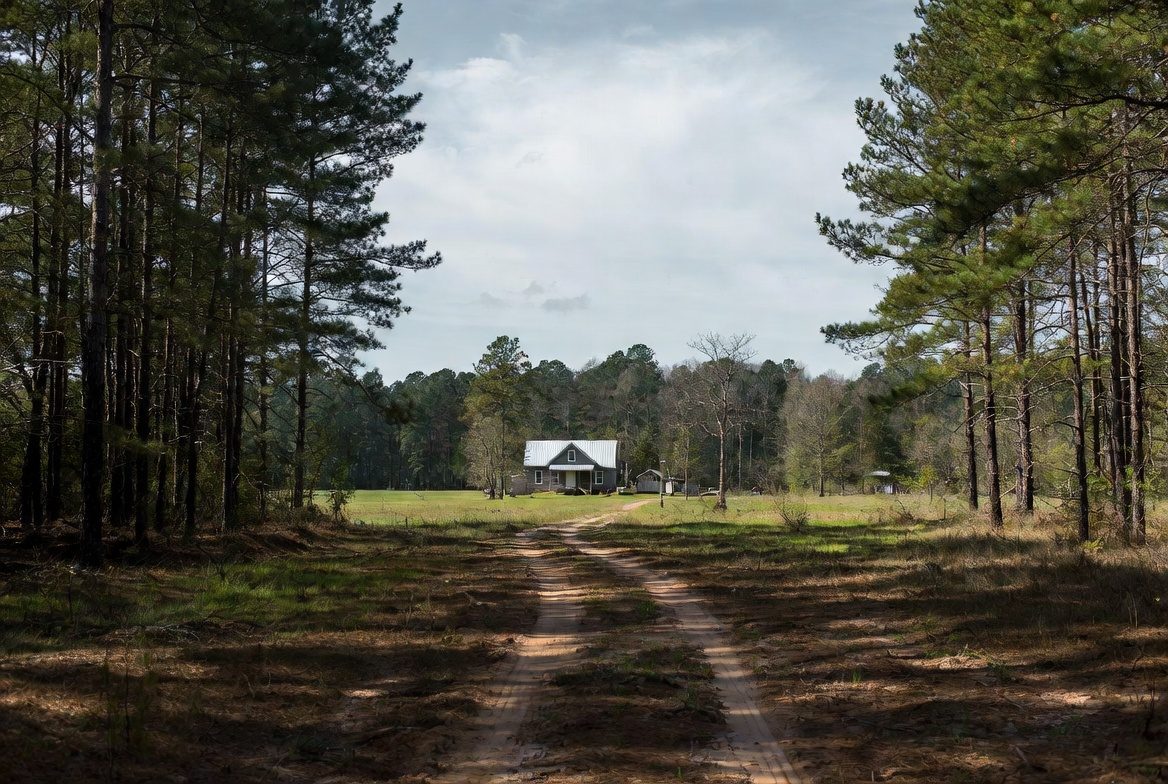 Farmhouse with metal roof among pines in Jackson County, Mississippi